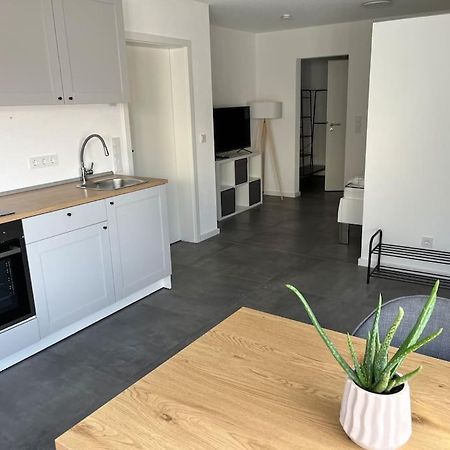 Schoenes 1 Zimmer Apartment Hüfingen Kültér fotó