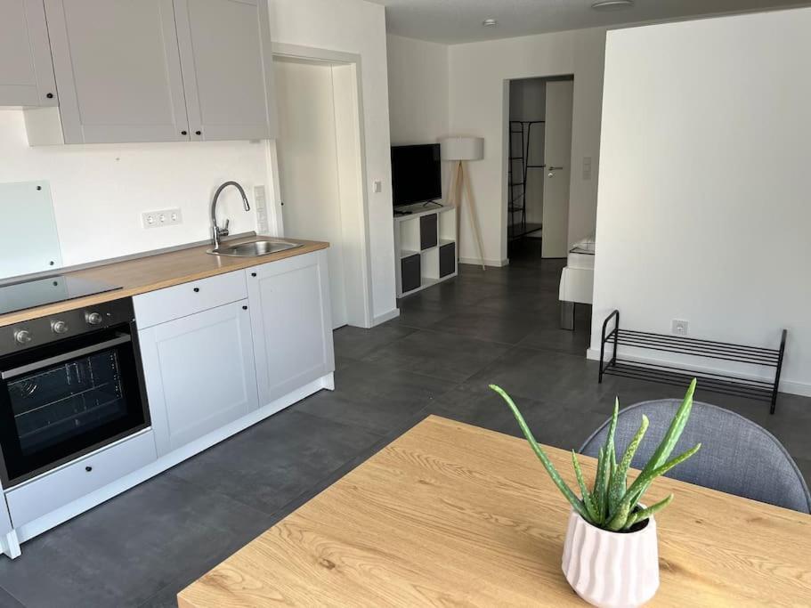 Schoenes 1 Zimmer Apartment Hüfingen Kültér fotó